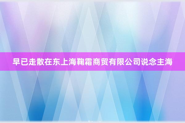 早已走散在东上海鞠霜商贸有限公司说念主海