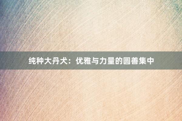 纯种大丹犬：优雅与力量的圆善集中
